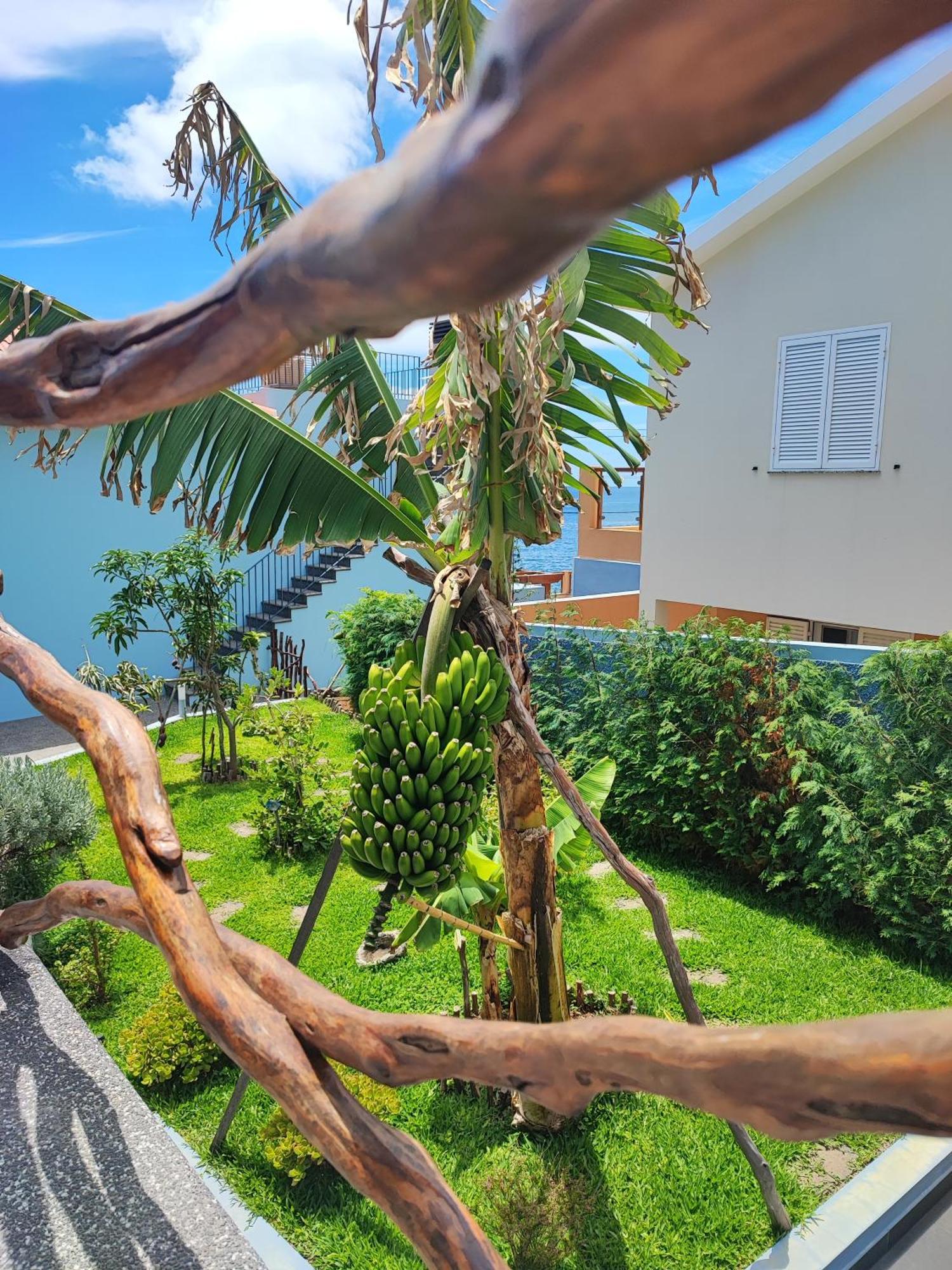 Cottage Pearl - Rural Holiday Experience By Seapearl Paul do Mar  Exterior foto